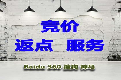充值返点机制在社交平台的应用案例